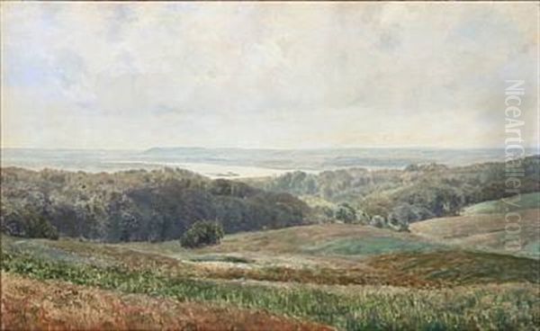 View Towards Silkeborgsoerne, Denmark Oil Painting by Janus Andreas Bartholin La Cour