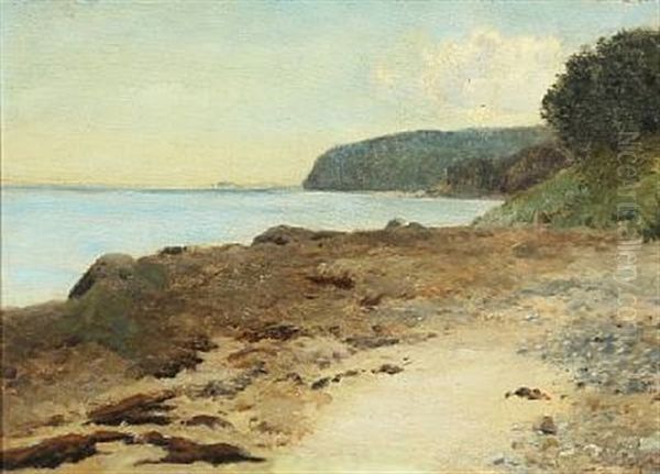 Strandparti, Aarhusbugten (moesgard) Oil Painting by Janus Andreas Bartholin La Cour