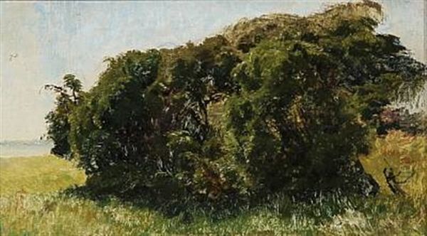 Landscape With Green Trees Oil Painting by Janus Andreas Bartholin La Cour