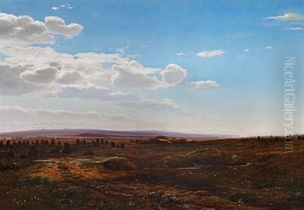 Tidlig Sommermorgen Ud Over En Eng Oil Painting by Janus Andreas Bartholin La Cour