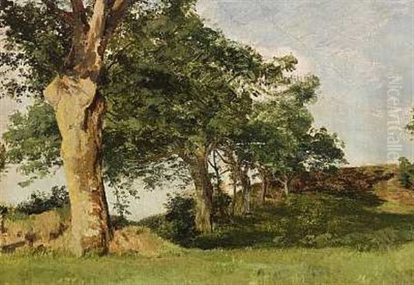 Studie Af Traeer Langs Et Hegn Oil Painting by Janus Andreas Bartholin La Cour