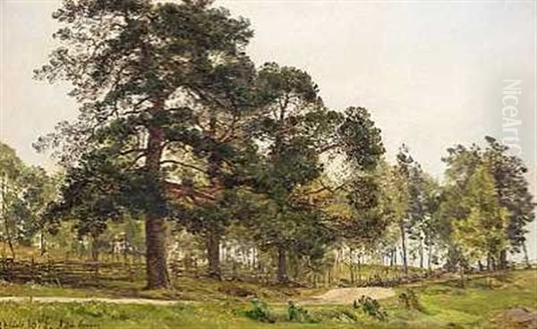 Svensk Landskab Oil Painting by Janus Andreas Bartholin La Cour