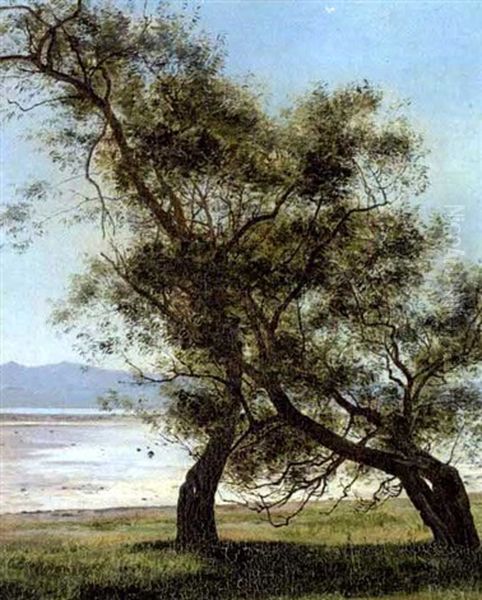 Gamle Piletraeer Ved Folle Strand Oil Painting by Janus Andreas Bartholin La Cour