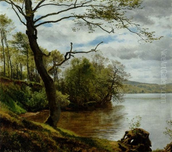 Skovso, Sommer Oil Painting by Janus Andreas Bartholin La Cour