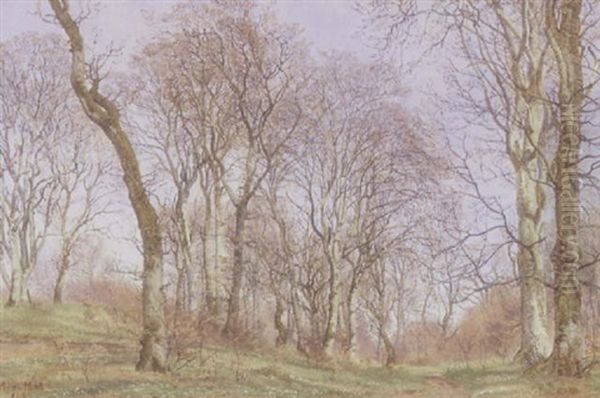 Forarsskov Med Blomstrene Skovbund Oil Painting by Janus Andreas Bartholin La Cour