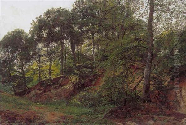 Skovparti, Sommer Oil Painting by Janus Andreas Bartholin La Cour