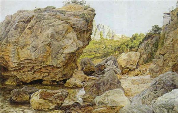 Parti Fra Capri Oil Painting by Janus Andreas Bartholin La Cour