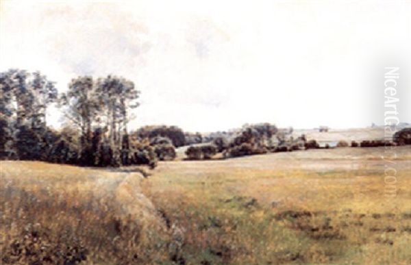 Blomsterne Sommereng Oil Painting by Janus Andreas Bartholin La Cour