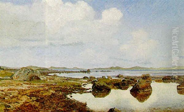 Dansk Kystparti Med Store Sten Oil Painting by Janus Andreas Bartholin La Cour