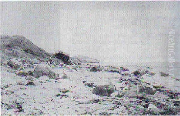 Kystparti Med Klippestykker Oil Painting by Janus Andreas Bartholin La Cour