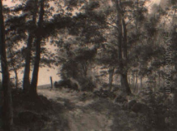 Vej I Udkanten Af Skoven, Sommer Oil Painting by Janus Andreas Bartholin La Cour