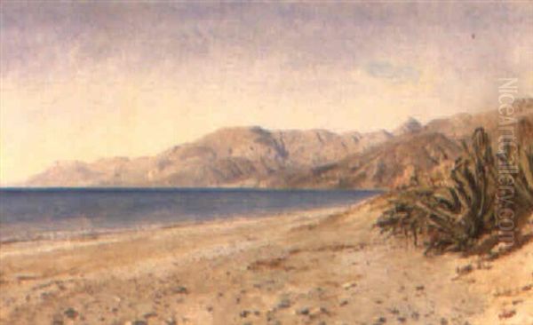 Kystparti, I Forgrunden Agaver, Bordighera Oil Painting by Janus Andreas Bartholin La Cour