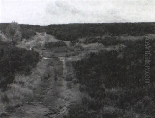 Vej Gennem Hedelandskab Oil Painting by Janus Andreas Bartholin La Cour