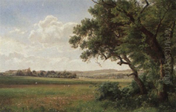 Dansk Sommerlandskab Med Gaende Storke Og Vilde For+rsblomster Oil Painting by Janus Andreas Bartholin La Cour