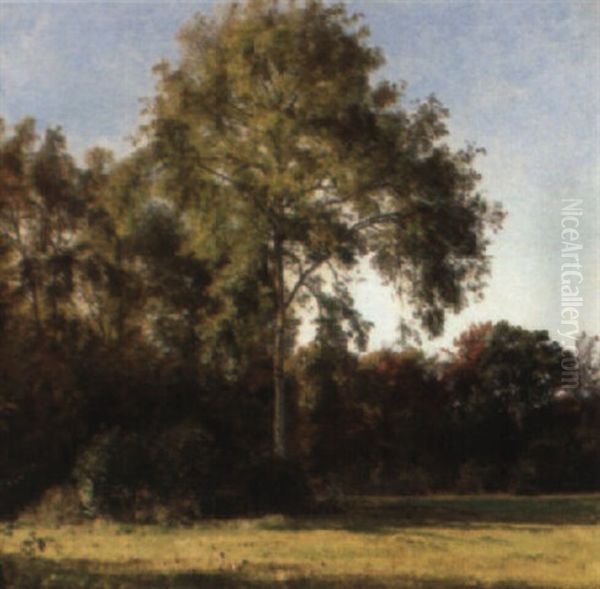 The Forest Oil Painting by Janus Andreas Bartholin La Cour