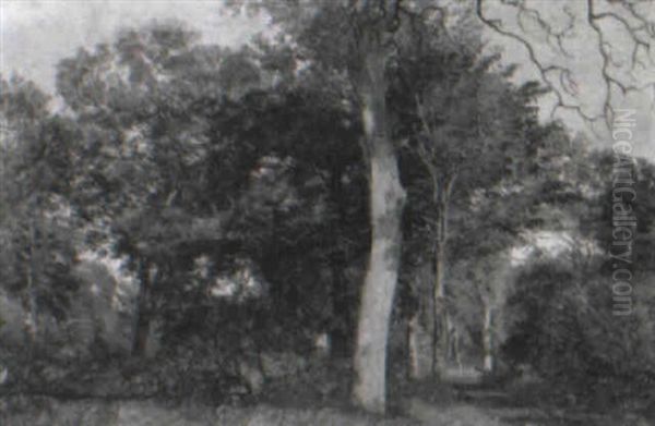 Skovparti Sommer Oil Painting by Janus Andreas Bartholin La Cour