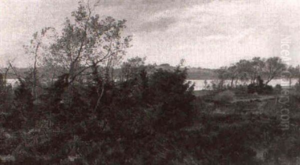 Skogsparti Vid Sjo, Tidig Sommar Oil Painting by Janus Andreas Bartholin La Cour