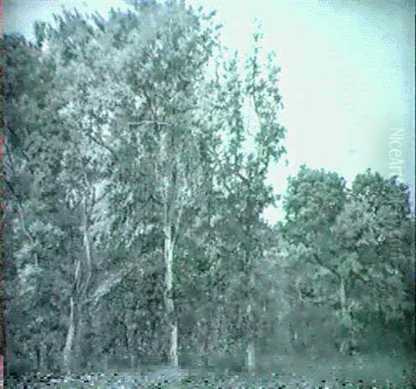 Parti Fra Riis Skov Oil Painting by Janus Andreas Bartholin La Cour