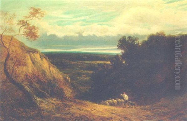 An Extensive Wooded Landscape With A Shepherd And Flock Oil Painting by David Cox