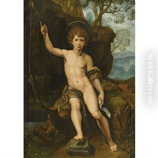 Saint John The Baptist In A Rocky Landscape Oil Painting by Michiel Coxie