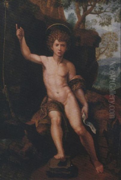 The Youthful Saint John The Baptist Oil Painting by Michiel Coxie