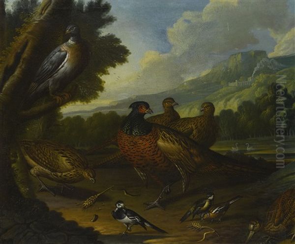 Pheasants, Wood Pigeon And Small Birds In An Extensive Landscape Oil Painting by Marmaduke Cradock
