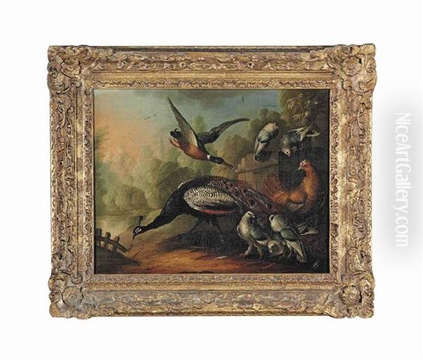 A Peacock, A Duck And Other Birds By Fence, A Pond Beyond Oil Painting by Marmaduke Cradock