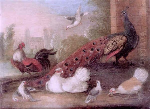 A Concert Of Birds, Including A Peacock, Doves And Fancy Fowl Before A Lake Oil Painting by Marmaduke Cradock