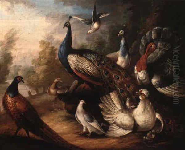 Ornamental Fowl In A Landscape Oil Painting by Marmaduke Cradock