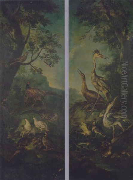 Fagiani, Gallina D'acqua, Cardellini Ed Altri Volatili Oil Painting by Giovanni (Crivellino) Crivelli