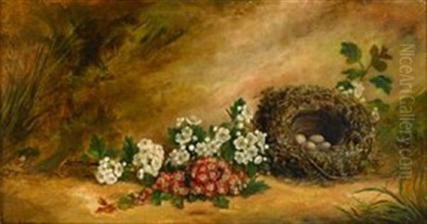 Still Life Of Dogwood And Bird's Nest Oil Painting by George Cruikshank I