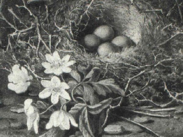 Still Life Of Primulas And A Bird's Nest Oil Painting by George Cruikshank I