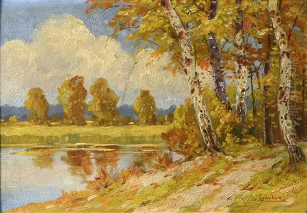 Birch Trees By The Lake Oil Painting by L鈥榰dovit Csordak