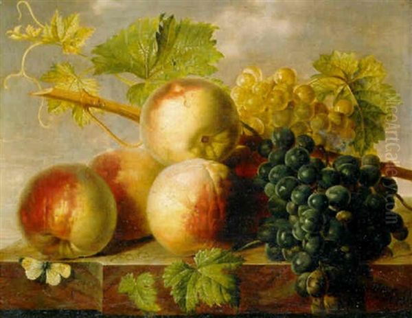 Peaches And Grapes With Cabbage White On A Marble Ledge Oil Painting by Jan Frans Van Dael