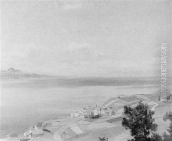 Landschaft Am Genfersee Oil Painting by Hans Arnold Daepp
