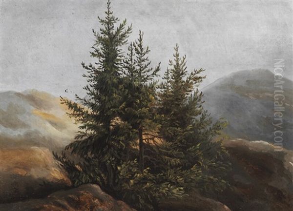 Pine Trees On A Mountaintop Oil Painting by Johan Wilhelm Ludwig Dahl