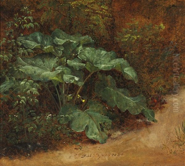 A Broad-leaved Dock (skraeppeplante) In The Forest Floor Oil Painting by Johan Wilhelm Ludwig Dahl