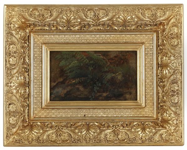 Bregnestudie Oil Painting by Johan Wilhelm Ludwig Dahl