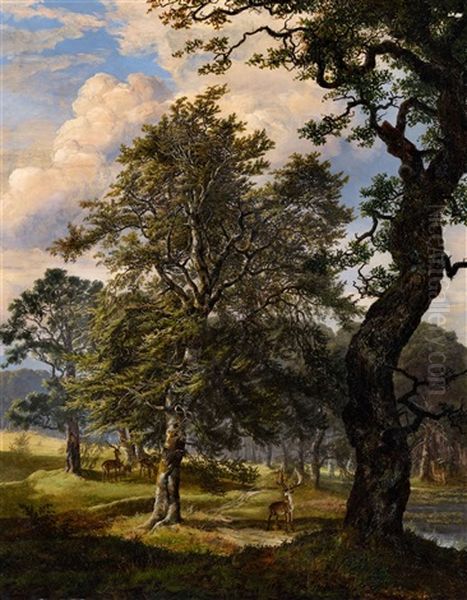 Dyrehaven Deer Park Near Copenhagen Oil Painting by Johan Wilhelm Ludwig Dahl