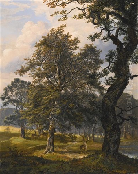 Dyrehaven Near Copenhagen Oil Painting by Johan Wilhelm Ludwig Dahl