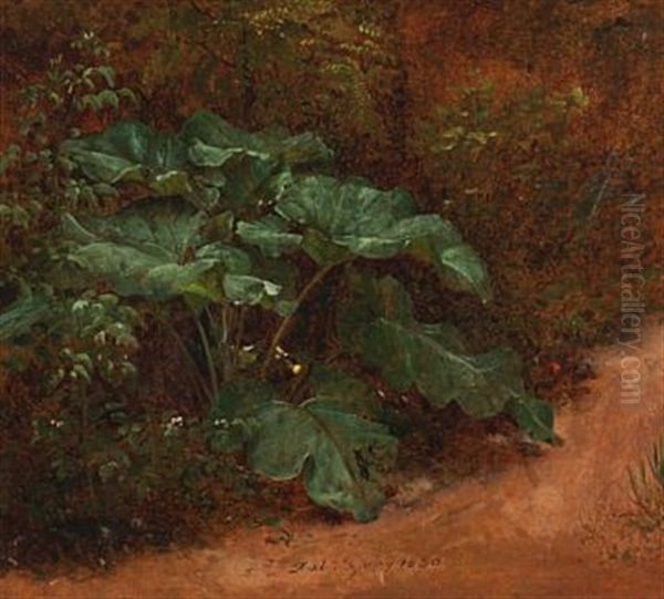 Botanisk Studie Oil Painting by Johan Wilhelm Ludwig Dahl