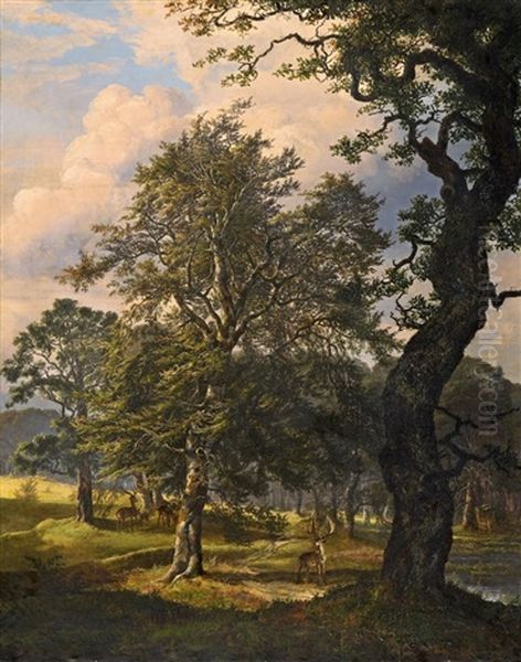 Der Hirschpark Dyrehaven Bei Kopenhagen Oil Painting by Johan Wilhelm Ludwig Dahl