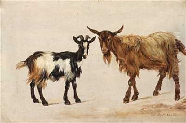 Studie Av To Geiter Oil Painting by Johan Wilhelm Ludwig Dahl