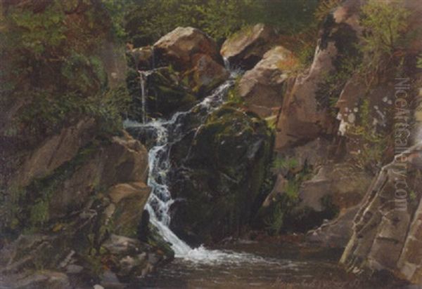 A Waterfall In Morgenbach, Germany Oil Painting by Johan Wilhelm Ludwig Dahl