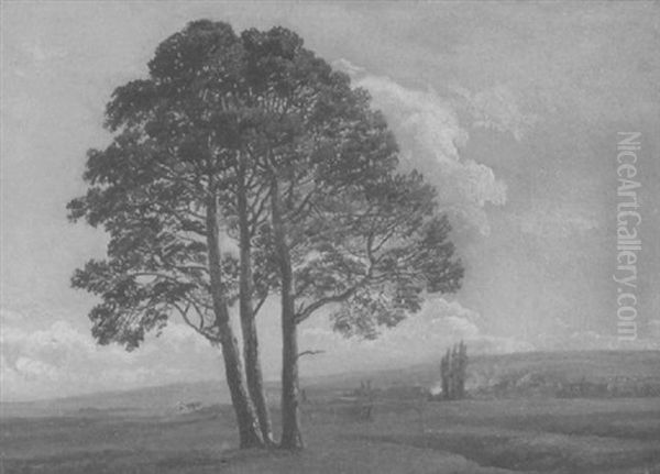 Weite Sommerlandschaft, Die Mit Dem Horizont Zu Verschmelzen Scheint Oil Painting by Johan Wilhelm Ludwig Dahl