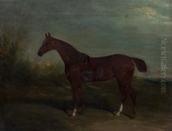 Portrait Of A Chesnut Horse With Docked Tail Oil Painting by David of York Dalby