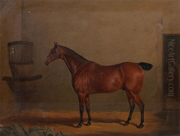 Portrait Of A Chestnut Horse In A Stable With An Initialled Horse Blanket G F H Oil Painting by David of York Dalby
