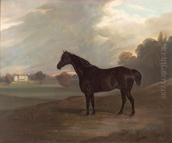 Black Stallion In Landscape, Elsenham Hall Oil Painting by David of York Dalby