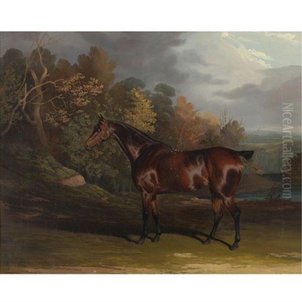 A Bay Hunter In A Sylvan Landscape Oil Painting by David of York Dalby