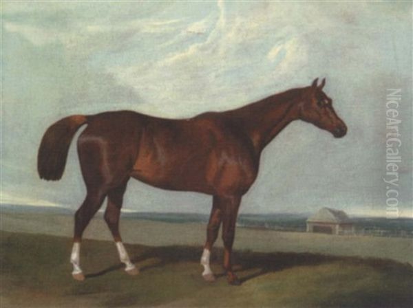 A Chestnut Hunter Within A Landscape Oil Painting by David of York Dalby